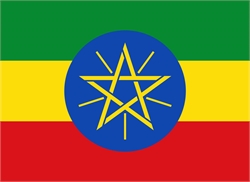 [ai] The flag of Ethiopia featuring horizontal stripes of green, yellow, and red with a blue circle at the center containing a yellow star and rays.